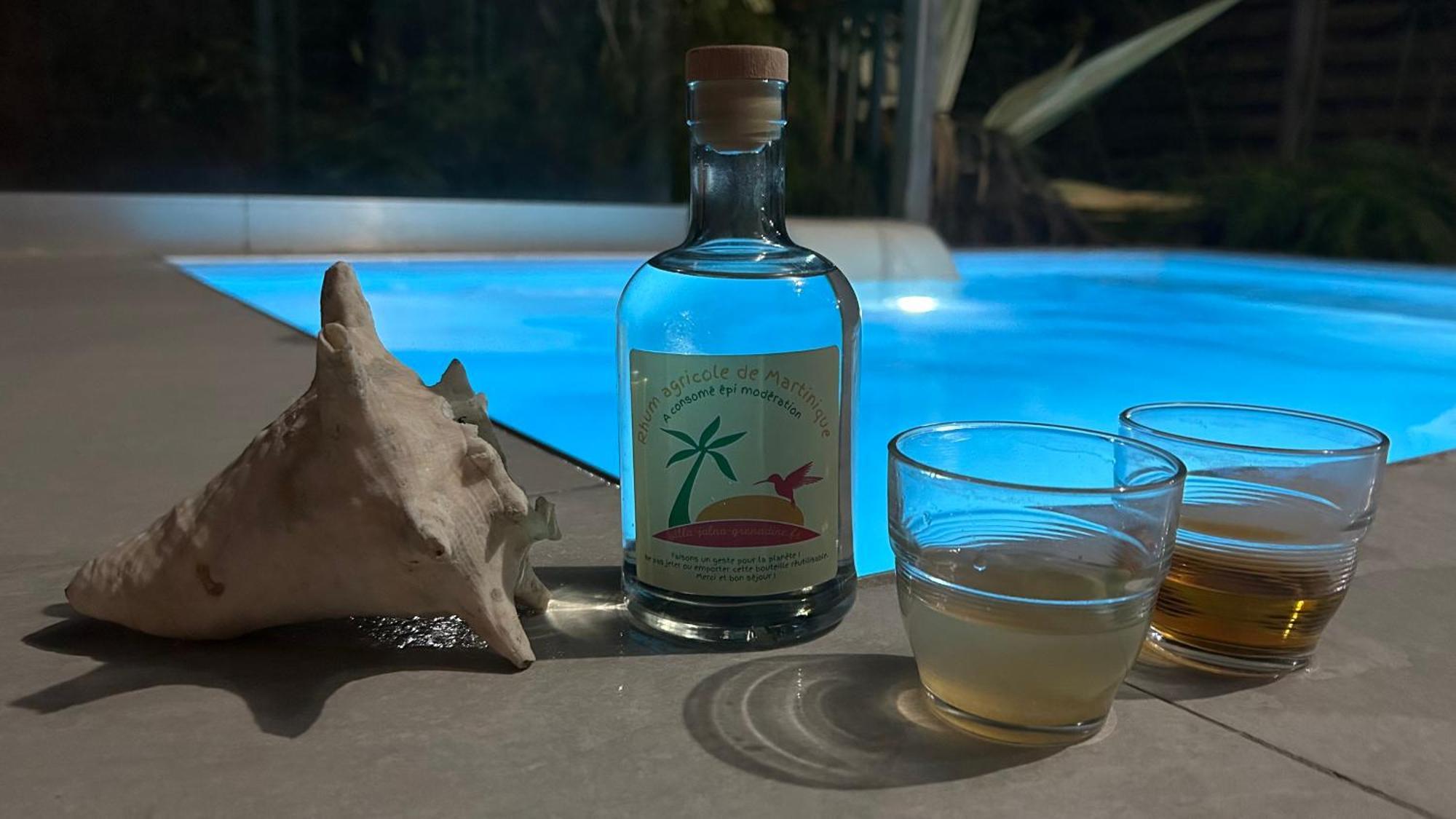 La Villa Jalna Grenadine Deux Chambres Et Piscine Privee Les Trois-Ilets Exterior foto